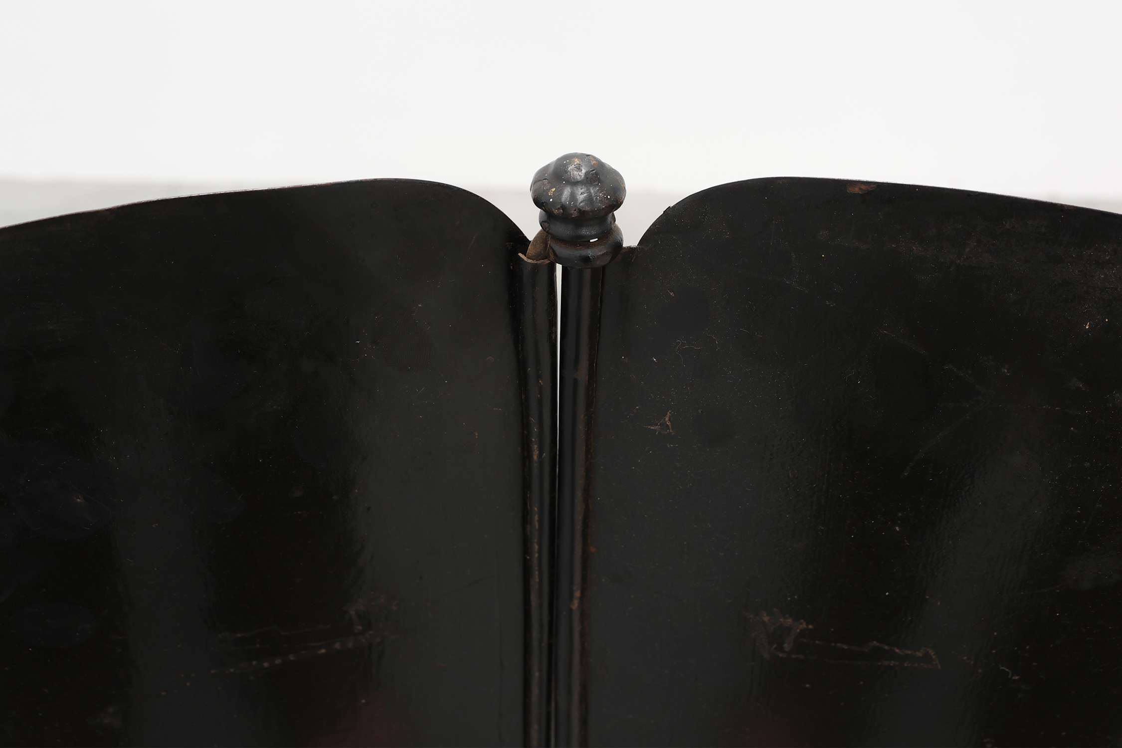 Art Nouveau Black Lacquered Two-Panel Screen with Hand-Painted Irises, France ca. 1910thumbnail